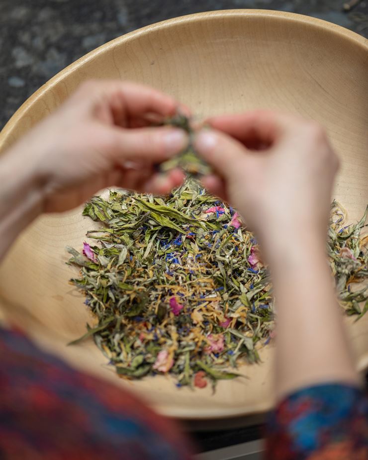 Kräuterpower macht winterfit - Ebbs