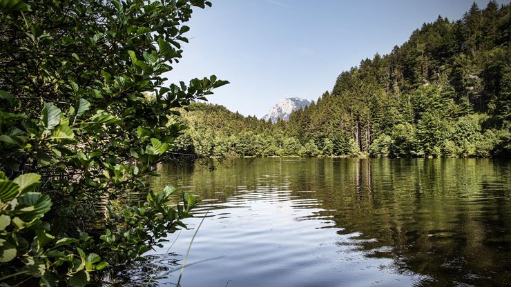Eine Rundwanderung zum Thierberg