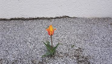 WAS UNS ZUVERSICHT SCHENKT