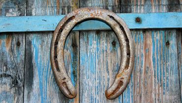 Hufeisen- und Plattenwerferturnier