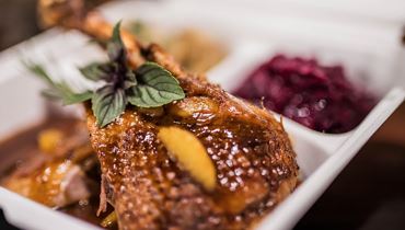 Gans - Ente - Wild